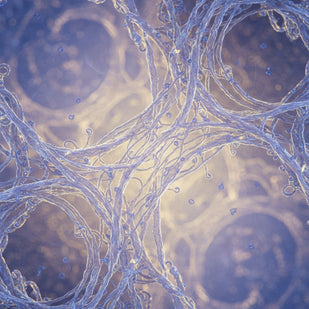 Restore Calcium at the Root