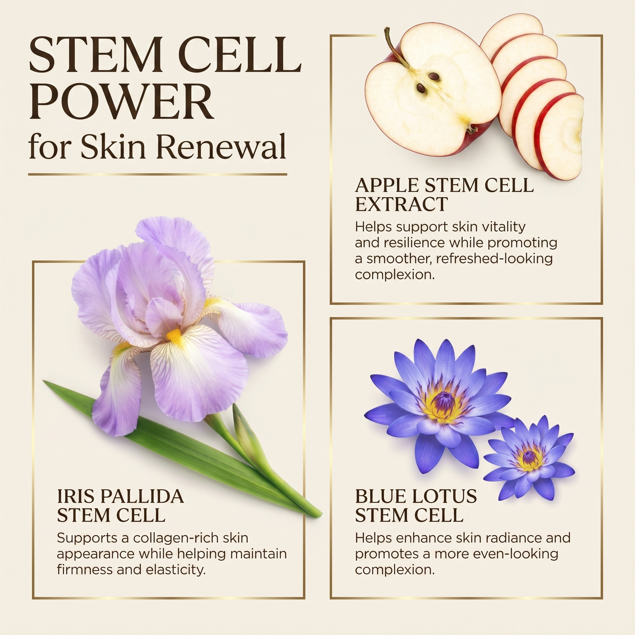 Advanced Pro-Collagen & NAD+ Crème